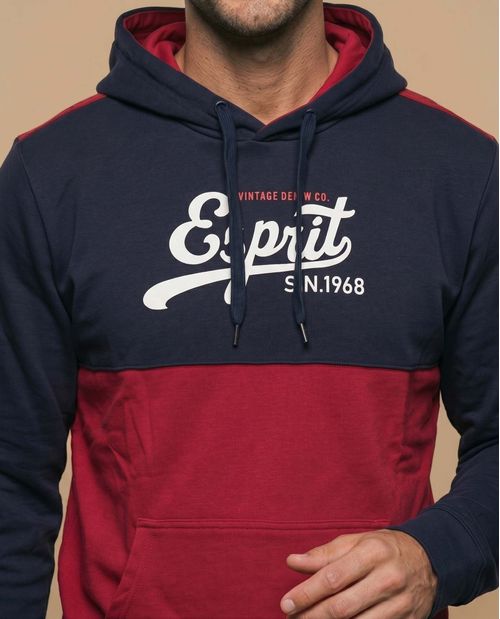 Sudadera con capucha y estampado en bloques de color para hombre